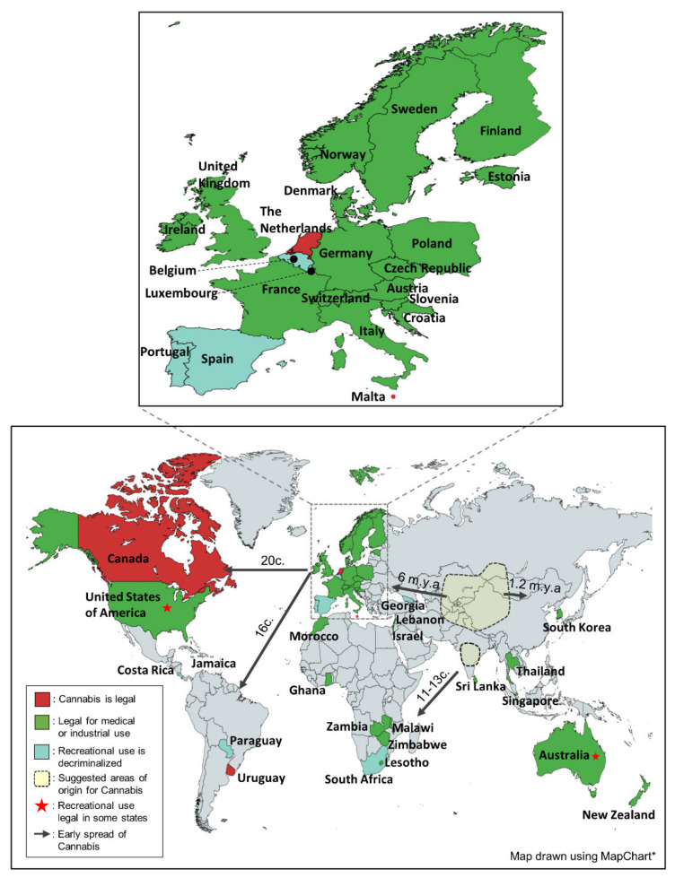Legal status and early spread of Cannabis. From its proposed centers of origin (Central and Southern Asia), Cannabis spread to the other continents of the world. Today, Cannabis use for medical purposes is permitted in many countries, particularly in Europe and North America. Recreational Cannabis is permitted in Canada, The Netherlands, Malta and Uruguay while it is decriminalized in Portugal, Spain, Luxembourg, Belgium, Georgia, Costa Rica, Paraguay, Jamaica and South Africa. The recreational use of Cannabis is also permitted in some states of the US and Australia. A close-up part of Europe is shown in an insert map, 5.5× magnified. (c.: century, m.y.a.: million years ago, * https://mapchart.net/world.html (accessed on 10 March 2022)).