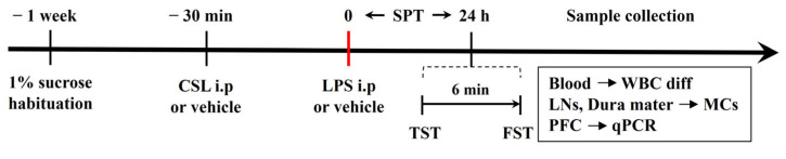 Experimental procedure of drug administration and behavioral tests performed in this study, and sample collection for the different analyses. CSL: Cannabis sativa L. inflorescence extract, LPS: lipopolysaccharide, SPT: sucrose preference test, TST: tail suspension test, FST: forced swimming test, WBC diff: white blood cell differential, LNs: lymph nodes, MCs: mast cells, PFC: prefrontal cortex, qPCR: quantitative PCR.