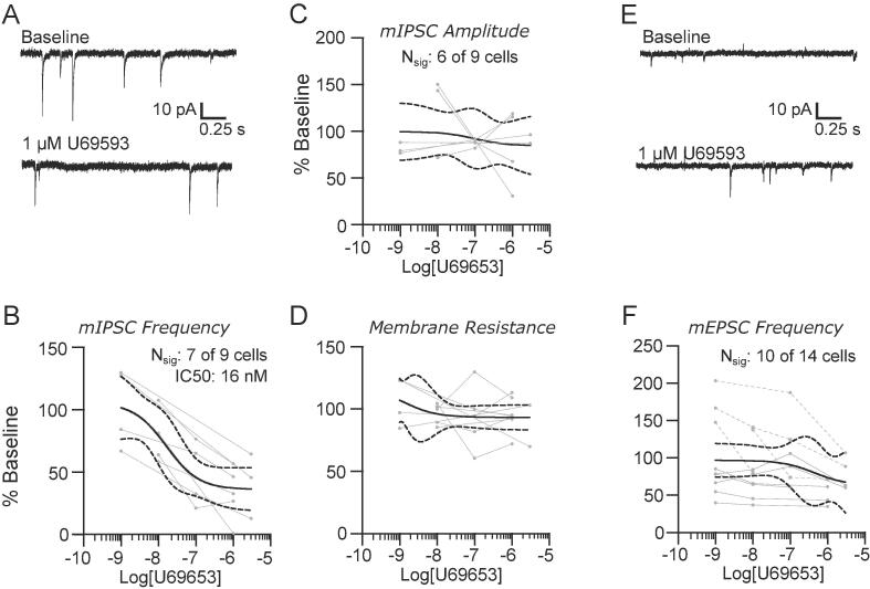 KOP receptors suppress inhibitory, but not excitatory, network activity in the lateral parabrachial nucleus. (A) Representative recordings of mIPSCs in baseline conditions (top) and in the presence of 1 µM U69593. The suppression of mIPSC frequency was dose dependent (B), but the amplitudes (C) were not affected. There was also no effect of KOP receptor activation on neuronal membrane resistance (D). Representative recordings of mEPSCs (E) and group data (F) show no consistent effect of U69593 on the frequency of excitatory events. Group data are fit with a log(dose) vs response curve ± 95% CIs.