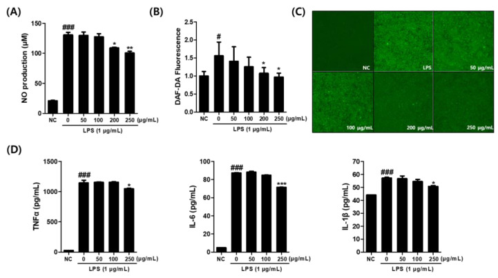 (A) Effect of C. sativa L. callus extract (CCE) on NO production in LPS-stimulated macrophages. (B) Effect of CCE treatment on intracellular nitrite level in LPS-treated macrophages as demonstrated by DAF-DA assay. (C) Microscopic analysis of DAF-2 fluorescence images. (D) Effect of CCE treatment on production of pro-inflammatory cytokine levels of TNF-α, IL-6, and IL-1β in supernatant of LPS-treated macrophages. The results are presented as the means ± SDs. # p < 0.05, ### p < 0.001 versus untreated controls, and * p < 0.05, ** p < 0.01, *** p < 0.001, versus LPS-treated RAW264.7 cells.