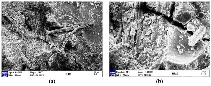 (a) SEM image of 10% hemp fiber-reinforced geopolymer mortar at 250× magnification and (b) at 1000× magnification.