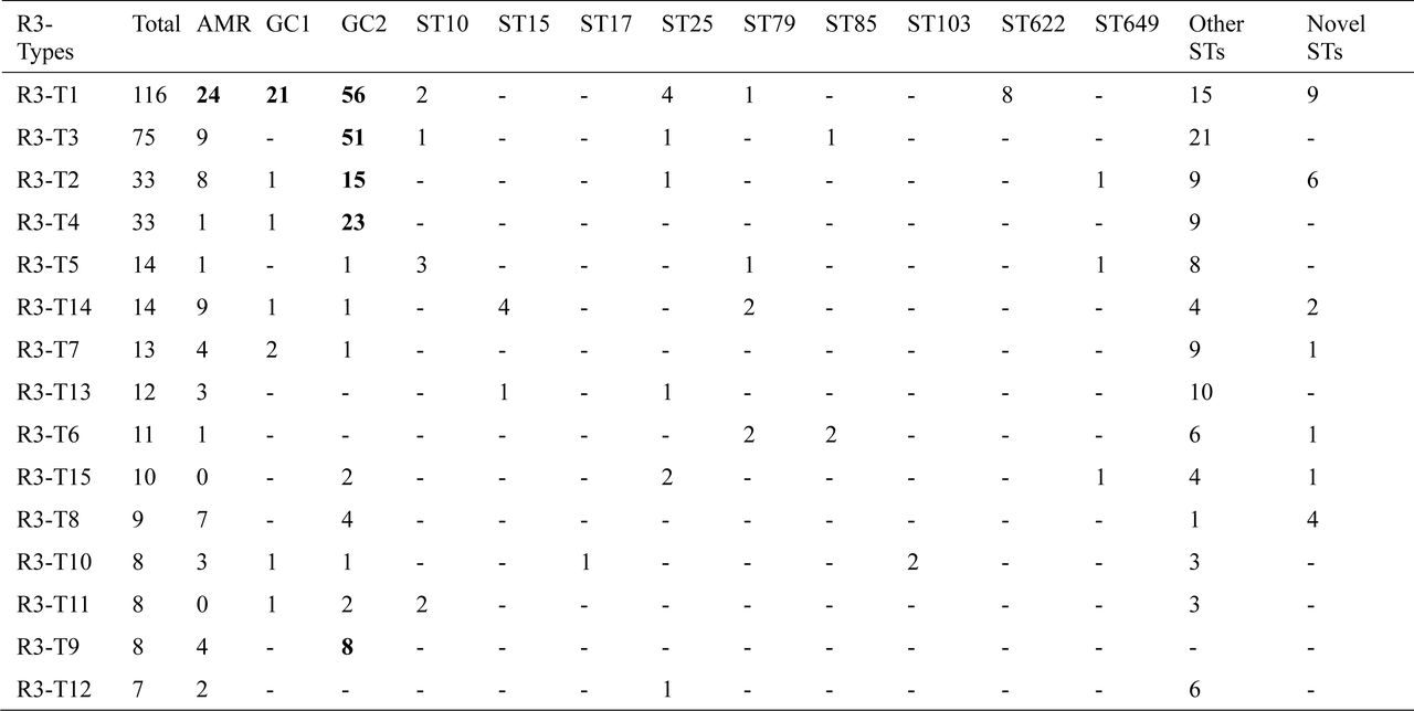 Distribution of plasmids corresponding to the 15 most abundant R3 Rep types in major globally distributed sequence types (STs)