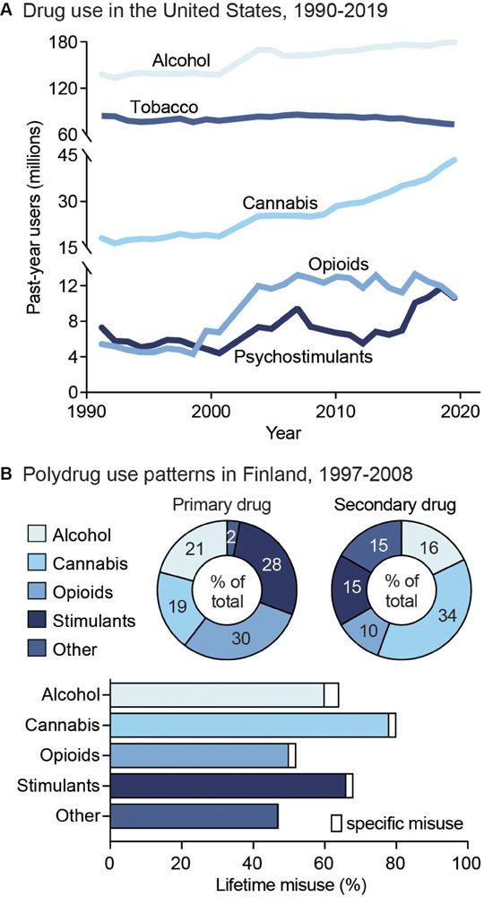 Public health trends in drug use. (A) Drug use in the United States from 1990 to 2019. Data from the National Household Survey on Drug Abuse (Substance Abuse and Mental Health Services Administration, 1993; Substance Abuse and Mental Health Services Administration, 1995; Substance Abuse and Mental Health Services Administration, 1997; Substance Abuse and Mental Health Services Administration, 2003) and the National Survey on Drug Use and Health (Substance Abuse and Mental Health Services Administration, 2005; Substance Abuse and Mental Health Services Administration, 2007; Substance Abuse and Mental Health Services Administration, 2009; Substance Abuse and Mental Health Services Administration, 2011; Substance Abuse and Mental Health Services Administration, 2013; Substance Abuse and Mental Health Services Administration, 2015; Substance Abuse and Mental Health Services Administration, 2017; Substance Abuse and Mental Health Services Administration, 2019). (B) Unspecified polysubstance use in treatment-seeking drug users in Finland from 1997 to 2008. Top: Primary (left) and secondary (right) drugs used by treatment-seeking drug users, shown as percent of total users. Bottom: Percent of users reporting exclusive misuse of one drug (white bars) or misuse of a given drug along with polysubstance use of another (colored bars). Data from Onyeka et al. (2012).