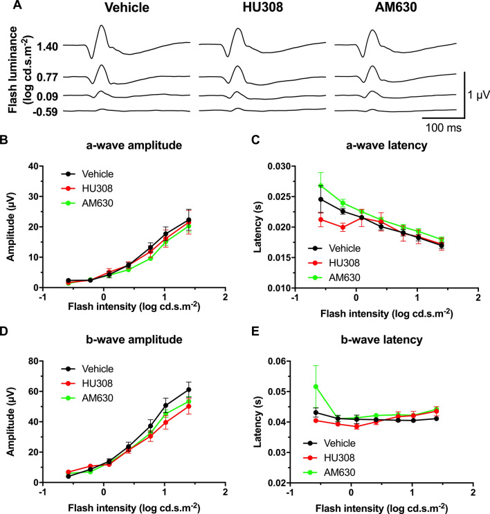 Systemic CB2R modulation does not affect retinal function in photopic conditions. (A) Mean photopic ERG traces with the different treatments. The animals were adapted to light for 20 min, and then the luminance-response function of each animal was established by presenting progressively brighter flashes (bottom to top). Amplitude, time to peak of photopic ERG a- (B,C) and b-waves (D,E) respectively, plotted as a function of flash luminance. Vehicle, n = 5; HU308 (10 mg/kg), n = 6; AM630 (2.5 mg/kg), n = 6. Statistical analysis was performed by two-way ANOVA. The values are mean ± SEM from all animals in each group.