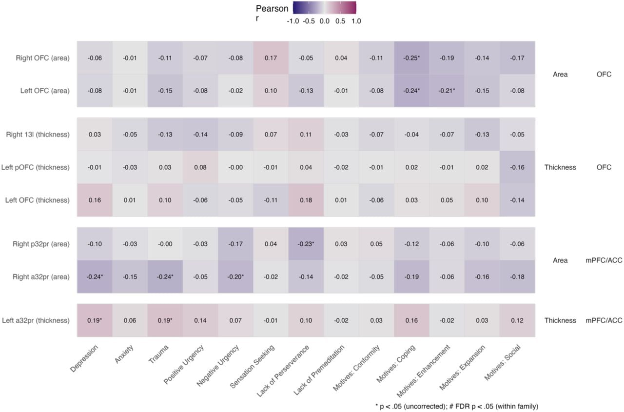 Pearson correlation heat matrices showing associations among orbitofrontal cortex and medial prefrontal/anterior cingulate cortex subregions and collateral cannabis use disorder symptoms for cortical surface area and thickness.