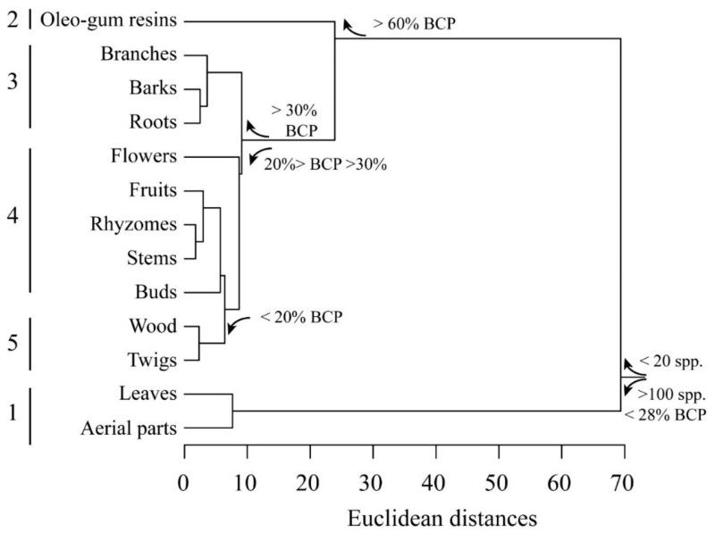 Cluster analysis of BCP and yield percentages according to the plant part used for extraction. Euclidean distances are calculated with average linkage method. Five clusters are evident (see text for explanation).