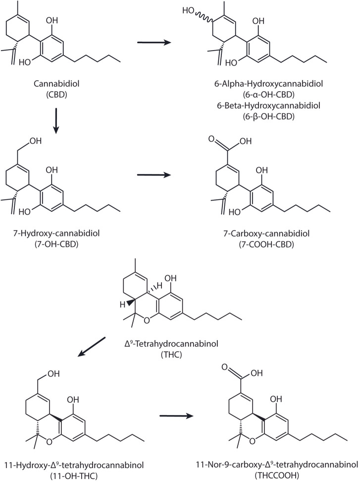 Chemical structures for CBD, THC, and their respective metabolites.
