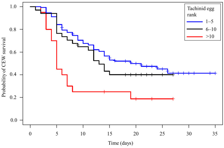 Kaplan–Meier curves of CEW larval survival relative to egg rank category. Perpendicular lines indicate censored individuals.