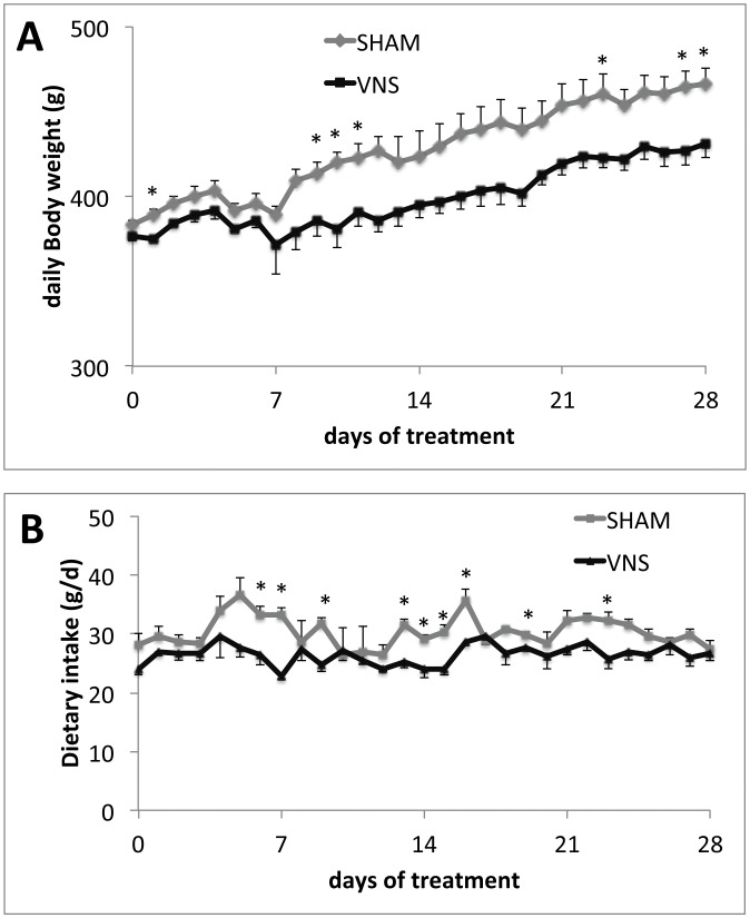 Effect of chronic VNS on daily body weight and daily food intake during 4 week-treatment.(A) body weight; (B) daily food intake. Data are means ± SEM for nine animals for each experimental group. *P<0.05 versus the value for sham-operated controls (t test).