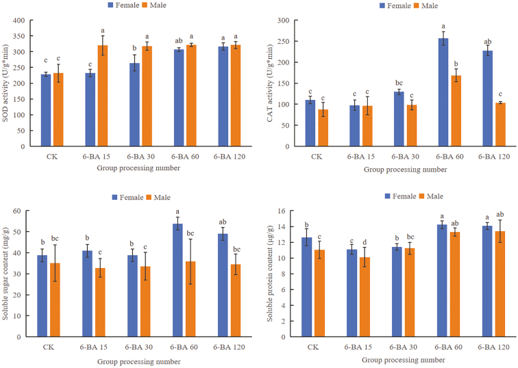 Alt Text: The chart shows the values of four physiological indexes of industrial hemp, which further proves that the treatment result of 6-BA 60 is the best.