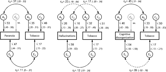 Path Diagrams and Parameter Estimates for Most Parsimonious Models: Psychotic Experiences and Tobacco UseNote:Ninety-five percent CI displayed in parentheses. Dashed lines indicates nonsignificant correlations. A = additive genetic influences; C = common environmental influences; E = unique environmental influences; rA= genetic correlation; rC= common environmental correlation; rE= unique environmental correlation.
