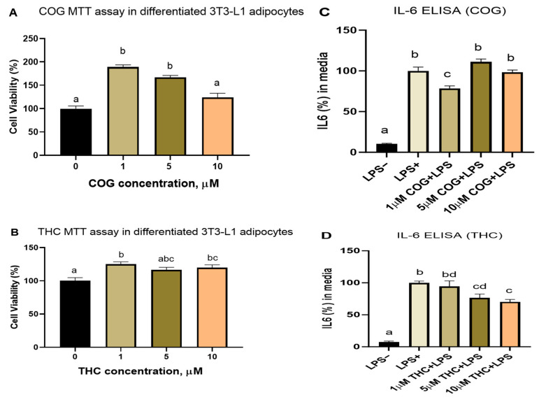 Dose–response effects of curcumin metabolites (COG and THC) on cell viability and IL-6 secretion. (A,B) The MTT assay showed that none of the doses (1–10 µM) of curcumin metabolites tested reduced cell viability in the 3T3-L1 adipocytes. (C) In the differentiated adipocytes, only 1 µM of COG reduced IL 6 secretion; (D) THC dose-dependently reduced IL-6 secretion with significant effects at 5 and 10 µM of THC. Means without a common letter differ (p-value < 0.05); duplicate experiments with 6–12 wells in each MTT test and 4–6 wells in each ELISA test were carried out.