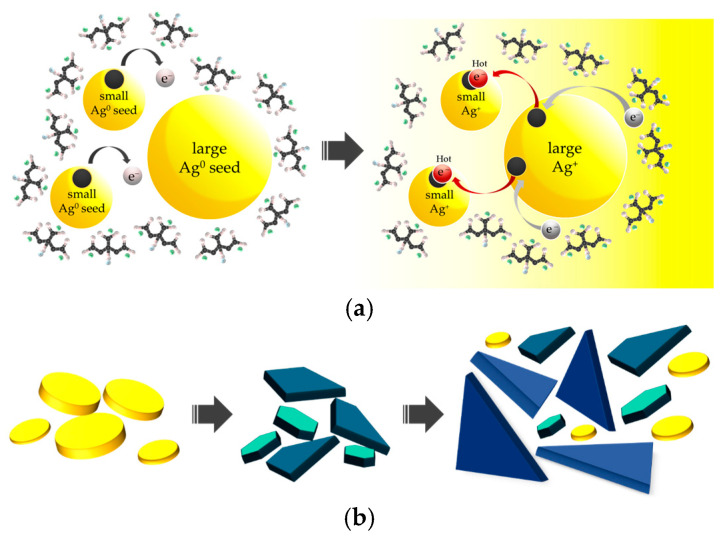 (a) The schematic of redox reaction occurring on the Ag nanoseed surface and (b) the transformation of spherical Ag nanoseeds to triangular Ag nanoplates under photoirradiation.