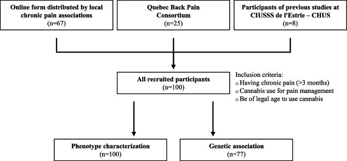 Flow chart illustrating recruitment methods and number of participants included in the analyses. In total, 100 participants were recruited in our study. Methods of recruitment included an online form distributed by local chronic pain association (n = 67), the Quebec Back Pain Consortium (n = 25) and a list of participants previously included in studies at CIUSSS de l’Estrie – CHUS (n = 8). All participants were included in phenotype characterization (n = 100) and participants with DNA samples were included in genetic association analyses (n = 77)