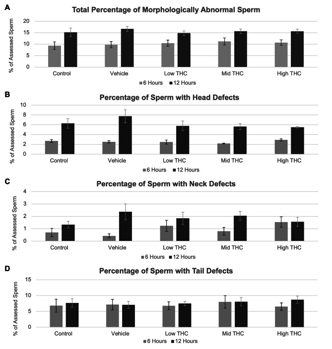 Morphology characteristics following THC-treatment. Effect of therapeutic (low THC; 0.032 µM THC) and recreational (mid and high THC; 0.32 µM THC and 3.2 µM THC, respectively) concentrations of THC on (A) overall sperm morphology, (B) head defects, (C) neck defects, and (D) tail defects. Morphology was manually determined using a minimum of 200 sperm per group per replicate after 6 and 12 h of treatment. Error bars represent ± SEM, n = 4