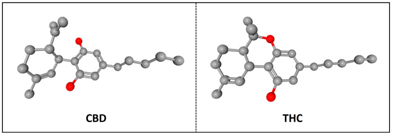 3D chemical structures of CBD (PubChem CID: 644019 [29]) and Δ9-THC (PubChem CID: 16078 [30]). The main difference between both compounds is that CBD contains a hydroxyl group while THC possesses a cyclic ring. Gray spheres represent carbon atoms, and red spheres represent oxygen atoms [9,31].