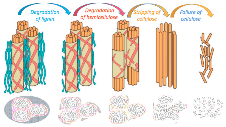 The alkaline degradation mechanism of PFs [37,57].