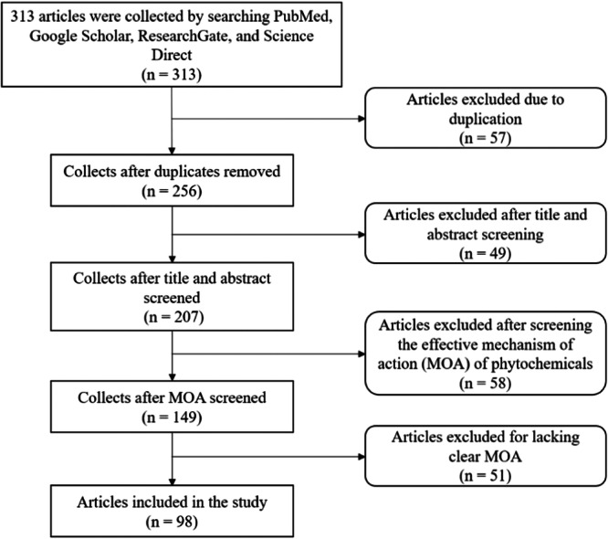 Schematic presentation of the search and selection of relevant literature.