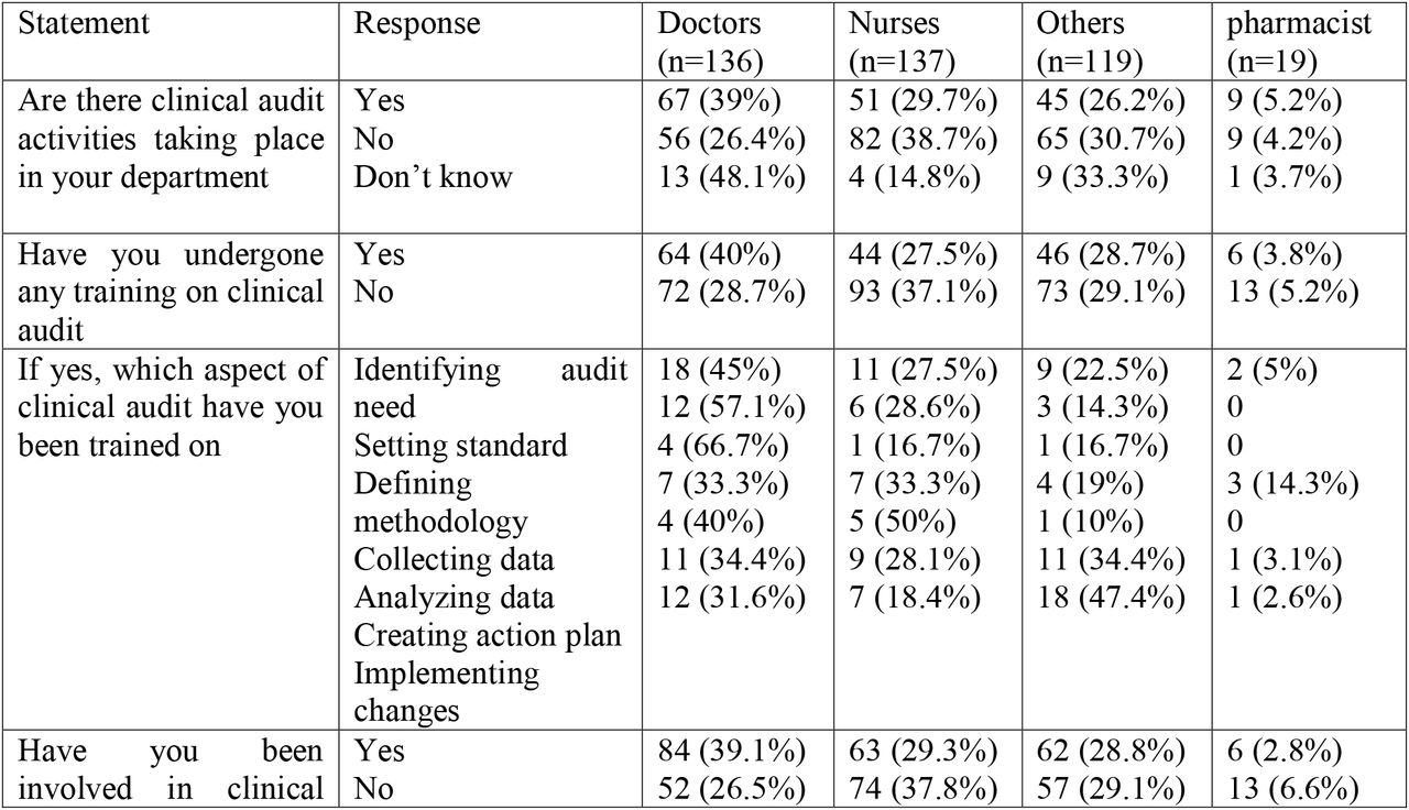 Practice of clinical audit among healthcare professionals