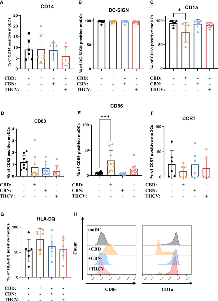 Non-psychotropic pCBs do not influence differentiation or maturation of moDCs. Monocytes were cultured in the presence of GM-CSF and IL-4 for five days to generate moDCs in the presence of 10 µM CBD, CBN, THCV or vehicle (0.1 v/v% absolute ethanol). Percentage of cells positive for CD14 (A), DC-SIGN (B), CD1a (C), CD83 (D), CD86 (E) CCR7 (F) and HLA-DQ (G) following the indicated treatments. N=6-9 donors, mean ± SD, *p < 0.05, ***p < 0.001, as indicated (determined by repeated measures one-way ANOVA). Individual donors are represented by symbols. (H) Representative histograms of significant changes from previous panels showing CD86 (left) and CD1a expression (right). moDC: vehicle-treated monocyte-derived dendritic cell, CBD: (-)-cannabidiol, CBN: (-)-cannabinol, THCV: (-)-Δ9-tetrahydrocannabivarin.