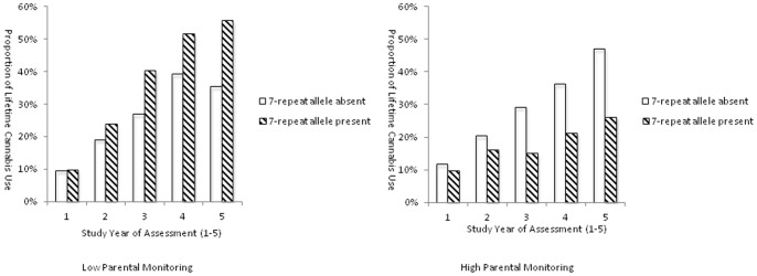 Proportion of lifetime users of cannabis at study year of assessment, separated for carriers and non-carriers of the DRD4 7-repeat allele, under conditions of low versus high levels of parental monitoring.