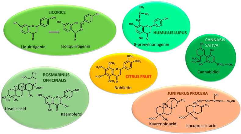 Structures of the most important biologically active compounds for aromatase inhibitory action.