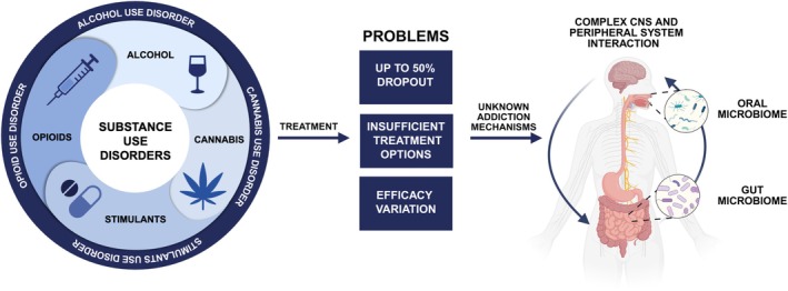 Schematic representation of substance use disorders, treatment challenges, and potential addiction mechanisms. CNS, central nervous system. Created in BioRender. Kazlauskaite, P. (2025) https://BioRender.com/zcyaxtb.