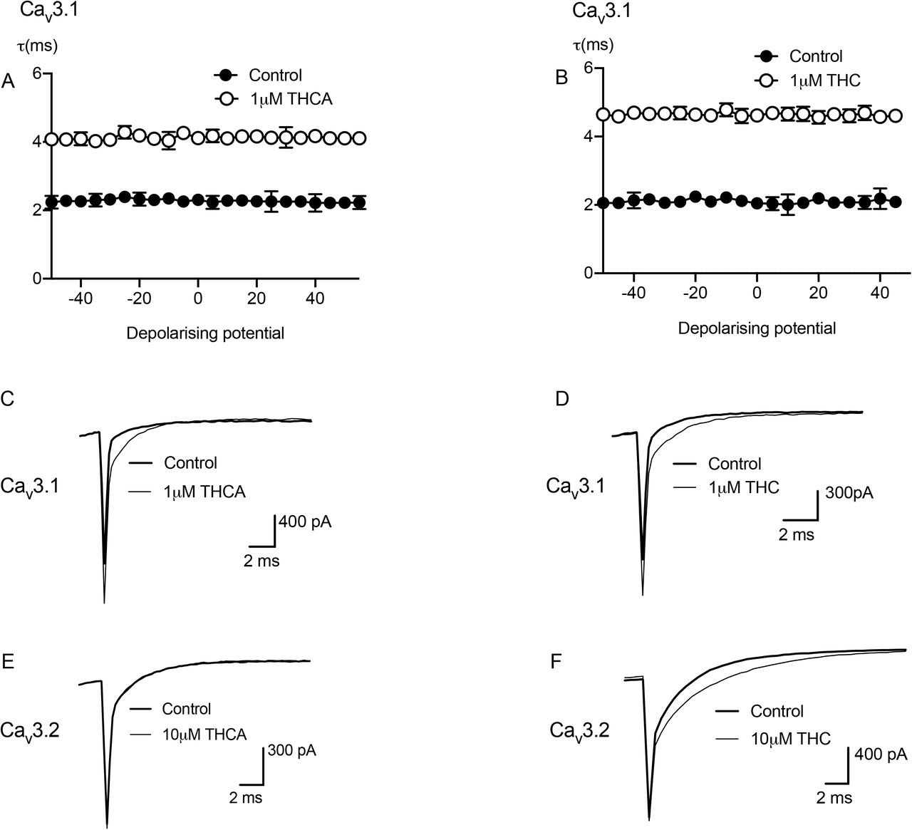 THCA and THC effects on CaV3 time constant of deactivation.Cells expressing CaV3 channels were stepped repetitively from a holoing potential of −100 mV to test potentials between −75 and 50 mV. (A) THCA produced a significant change in time constant deactivation of CaV3.1(ANOVA, P < 0.0001) across a range of potential membrane. (B) THC produced significant changes in time constant deactivation of CaV3.1 across a range of membrane potential (ANOVA, P < 0.0001). (C) 1μM THCA prolonged deactivation of CaV3.1 showing in example trace of tail current from I-V current relationships. (D) Example traces of tail current for CaV3.1 showed that 1μM THC slowed deactivation of CaV3.1. (E) Representative traces illustrated that THCA at 10μM did not affect CaV3.2 and (F) 10μM of THC slowed deactivation of CaV3.2.