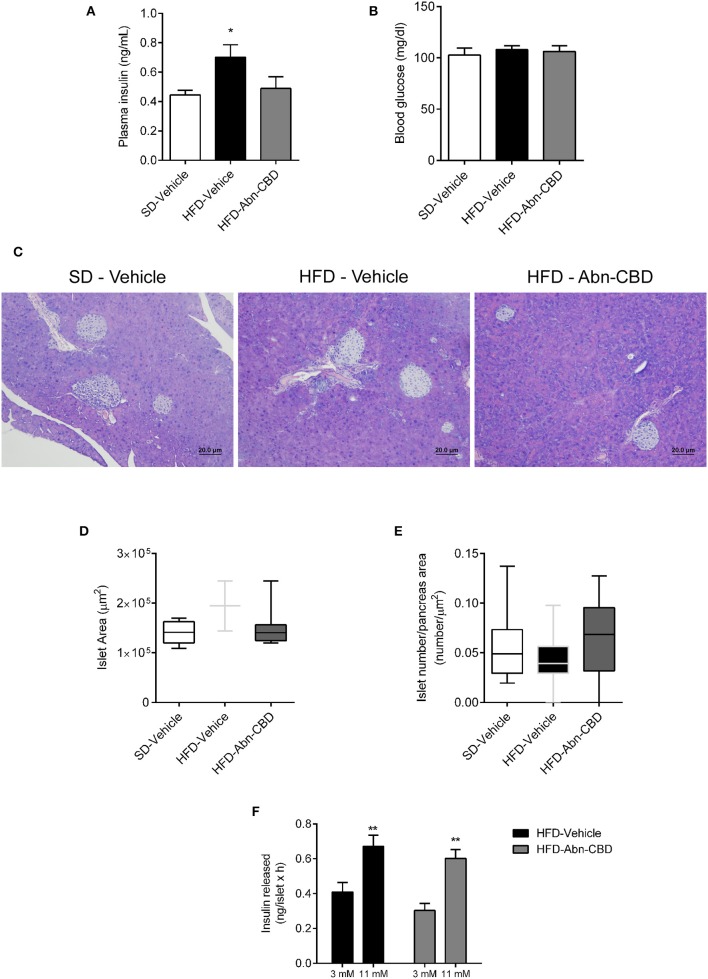 Effect of Abn-CBD on glucose homeostasis, islet morphology and functionality. (A) Fasted (overnight) plasma insulin and (B) blood glucose levels at the end of the study. (C) Representative photomicrographs of islets. (D,E) Morphometric analysis of islets. Data show mean ± S.E.M. except (D,E) that show median ± min to max. n = 6 SD-Vehicle, n = 7 HFD-Vehicle and n = 8 HFD-Abn-CBD except (D), n = 51–66 islets from 4 mice each group, (E) n = 52–81 islets from 4 mice each group. *p ≤ 0.05 and **p ≤ 0.01 compared to SD-Vehicle. (F) Static glucose-stimulated insulin secretion in HFD-Vehicle and HFD-Abn-CBD isolated islets. N = 11–12 wells each condition, islets from 2 mice each group.