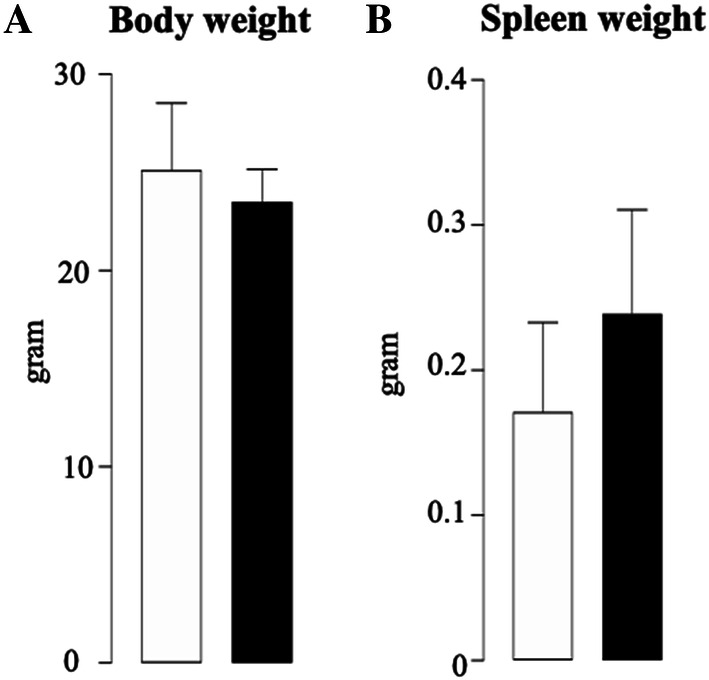 Effects of JZL184 on body or spleen weight in mice bearing MM. Total body (a) and spleen (b) weight in 8-week-old adult C57BL/6KalWRij mice treated with vehicle (0.01% DMSO) (n = 8) or JZL184 (16 mg/kg, thrice-weekly) (n = 8 per group) for 21 days post injection of mouse 5TGM1-GFP MM cells (106 cells/mouse). Values are mean ± SD