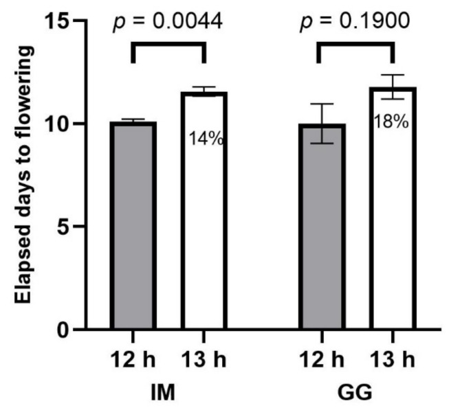 Elapsed days to flowering (EDTF) responses to 12 h (filled bars) and 13 h (empty bars) photoperiod treatments of C. sativa cultivars ‘Incredible Milk’ (IM) and ‘Gorilla Glue’ (GG). Data are means ± SE, n = 3. Error bars are presented for all data but may be obscured for small SE values. Percentage values marked in the 13 h bars signify the increase in EDTF relative to the 12 h treatment, and the p-values above each cultivar represent the significance level of the comparison of means according to Student’s t-test.