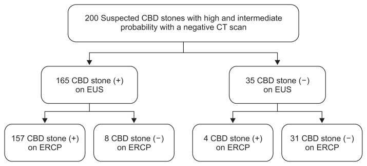 Study flow chart.CBD, common bile duct; CT, computed tomography; EUS, endoscopic ultrasonography; ERCP, endoscopic retrograde cholangiopancreatography.