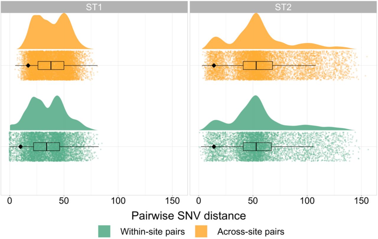 Pairwise single nucleotide variant (SNV) distribution between pairs of isolates from the same collection site vs. pairs of isolates from geographically distinct collection sites for both ST1 and ST2. The black diamond indicates fifth percentile SNV distances for each category.