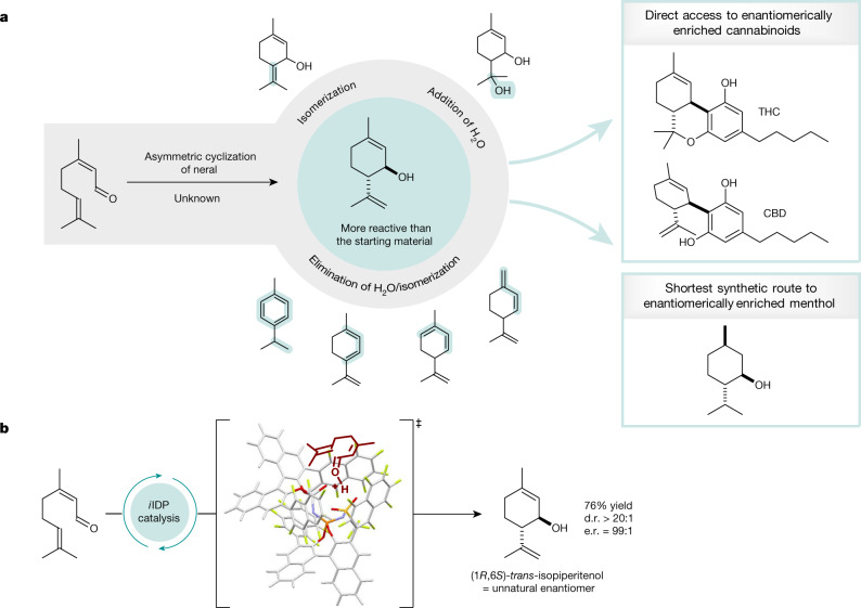 Brønsted acid-catalysed cyclization of neral to (1R,6S)-trans-isopiperitenol.a, Selectivity problems in the cyclization of neral named the ‘neral to isopiperitenol dilemma’ and isopiperitenol as valuable chiral pool material in the synthesis of cannabinoids and menthol. b, The first asymmetric, selective cyclization of neral to isopiperitenol under confined Brønsted acid catalysis.