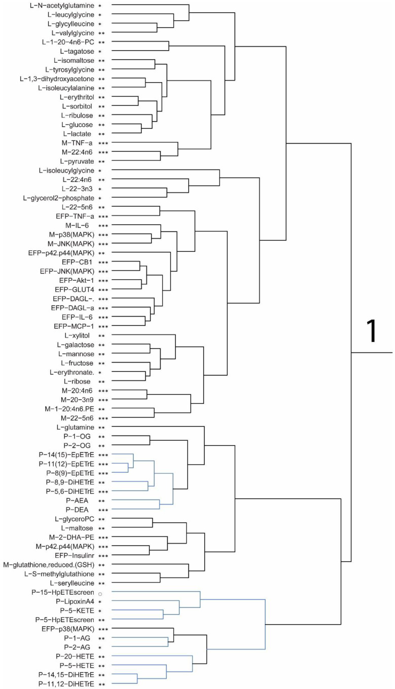 The hierarchical cluster analyses dendrogram are presented as six data clusters individually displayed with VIP scores indicated for each variable at >1.75 (***), >1.5 (**), >1.25 (*), and >1 (◌). Values for compounds with the preceding letters P, L, and M refer to plasma, liver, and muscle, respectively. EFP is epididymal fat pad qPCR values.