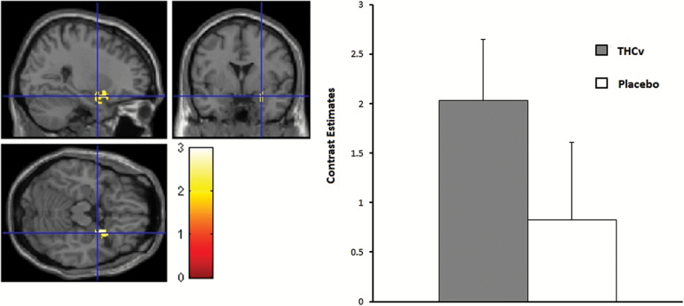 Left: Strawberry sight and taste. Increased amygdala activation under tetrahydrocannabivarin (THCv) compared with placebo, small volume corrected (svc) (z=2.66, P=.03 svc family wise error [FWE]-corrected for multiple comparisons). Right: Contrast estimates for amygdala centered at 24 6 −18 for strawberry sight and taste. Error bars show 1 SEM.