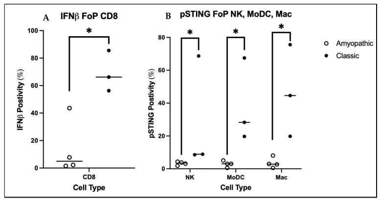 (A) Comparison of baseline (unstimulated) IFNβ positivity for amyopathic vs. classic CD8 T cells. Classic CD8 T cells were found to be significantly more positive for IFNβ compared to amyopathic CD8 T cells (p < 0.05). (B) Comparison of baseline (unstimulated) pSTINGp65 positivity for amyopathic vs. classic NKs, MoDCs and Macs. All three classic cell types were found to be significantly more positive for pSTING compared to amyopathic (p < 0.05). * p < 0.05.