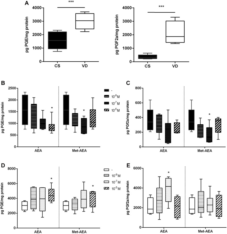 Analysis of prostaglandins concentration in term placenta. (A) Basal prostaglandin E (left panel) and F2a (right panel) production in cesarean section (CS) and vaginal delivery (VD) placentas (***P < 0.001, n = 10). (B) Prostaglandin E and (C) prostaglandin F2a production measured after culturing CS placentas with different concentrations of AEA or Met-AEA (*P < 0.05 vs. control, n = 10). (D) Prostaglandin E and (E) prostaglandin F2a production measured after culturing VD placentas with different concentrations of AEA or Met-AEA (*P < 0.05 vs. control, n = 10).