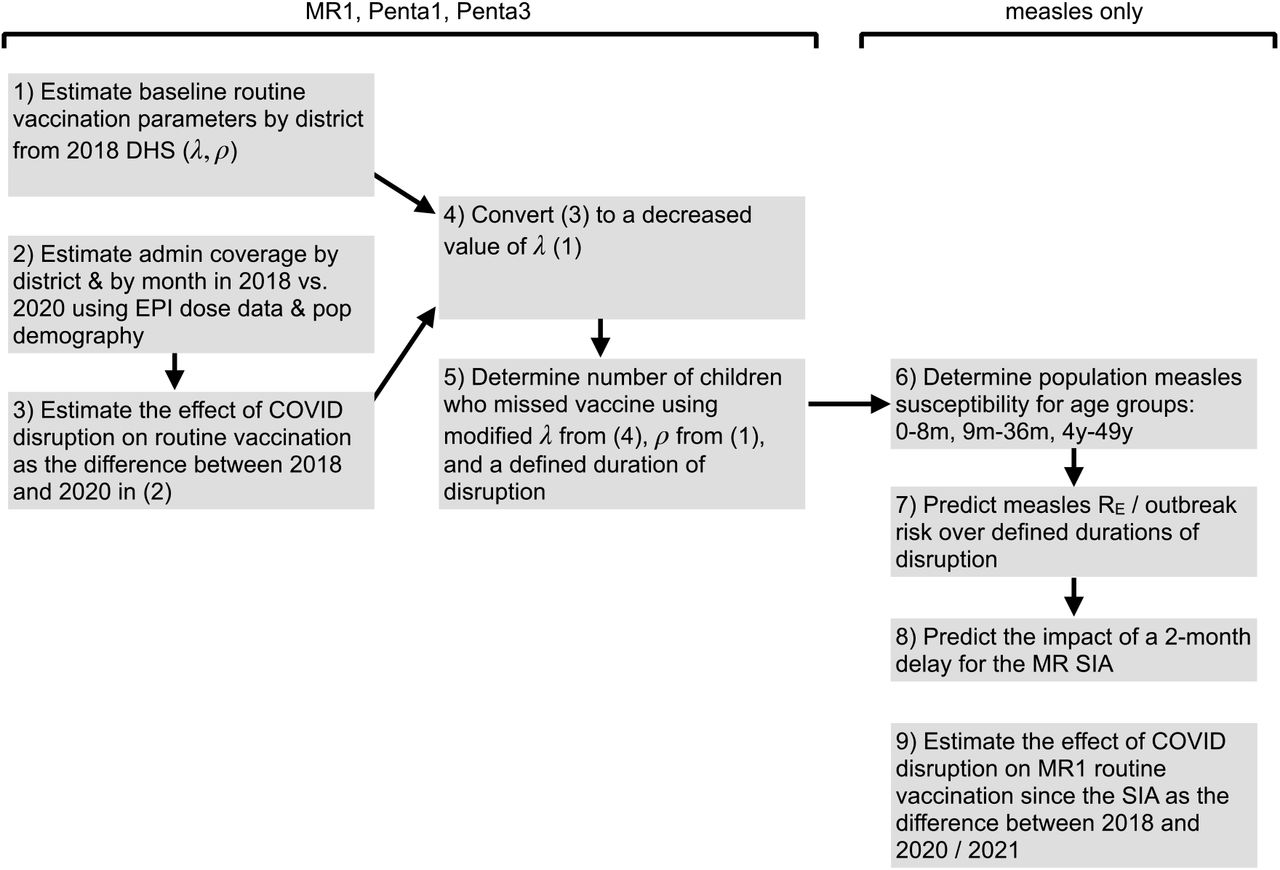 Methodological roadmap.