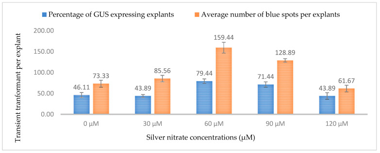 Effect of different silver nitrate concentrations on transformation efficiency based on transient β-glucuronidase (GUS) expression. Infection frequency was calculated as the percentage of GUS-positive explants from 3-week-old leaves out of the total number of explants examined. The number of GUS foci per explant is the average number of GUS-positive foci in at least three independent explants. The data are represented as means ± standard error (SE). To optimize the individual parameter, each experiment contained 25 to 30 samples and each experiment had 3 replications (n = 75).
