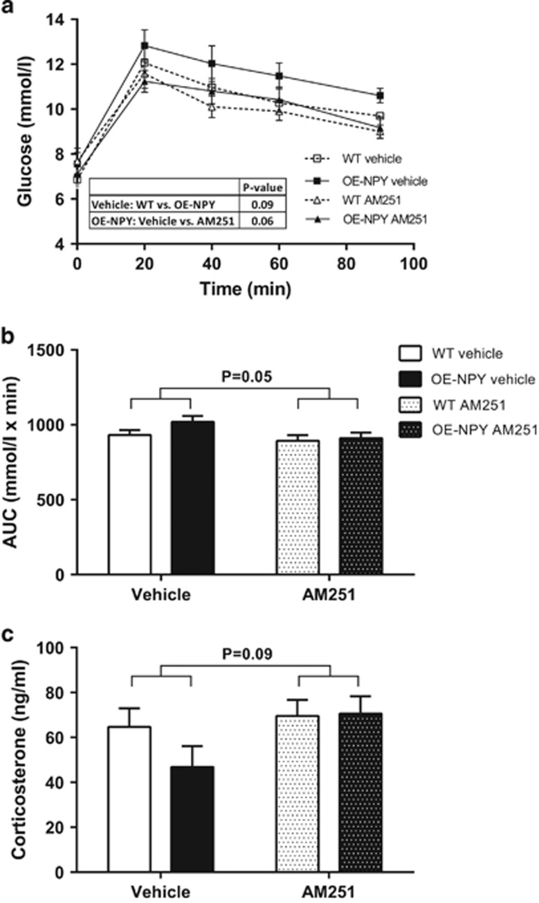 Glucose tolerance and serum corticosterone levels. Glucose tolerance after 3 weeks of CB1 inverse agonist administration as (a) blood glucose curves and (b) area under the curve values. (c) Serum corticosterone levels. Values are expressed as means±s.e.m., n=9–12. White square, dashed line and white bars=vehicle-treated WT; black squares, line and bars=vehicle-treated OE-NPYDβH; white triangles, dashed line and white dotted bars=AM251-treated WT; black triangles, line and dotted bars=AM251-treated OE-NPYDβH. Statistics with (a) repeated measures ANOVA or (b, c) two-way ANOVA.