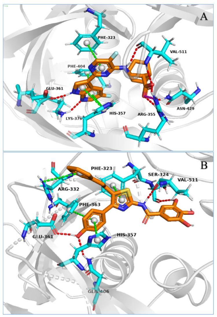 Representative structures of VX-787 or our active compounds with the largest population in the MD simulation. Shown are representative structures of (A) VX-787 with PB2; (B) Str1614 with PB2; (C) Str1916 with PB2; (D) Str3107 with PB2; (E) Str5776with PB2; (F) Str6318 with PB2; and (G) Str7374 with PB2.