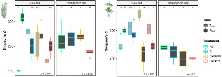 Mean values of Simpson’s index (D) in BS and RS of giant reed (Left) and hemp (Right) as affected by treatments and sampling time (Tz, time zero sampling; Tf, at the end of experiment). Different letters denote statistically different (Tukey’s test, P = 0.05) D-values among treatment in BS and RS for single crops.