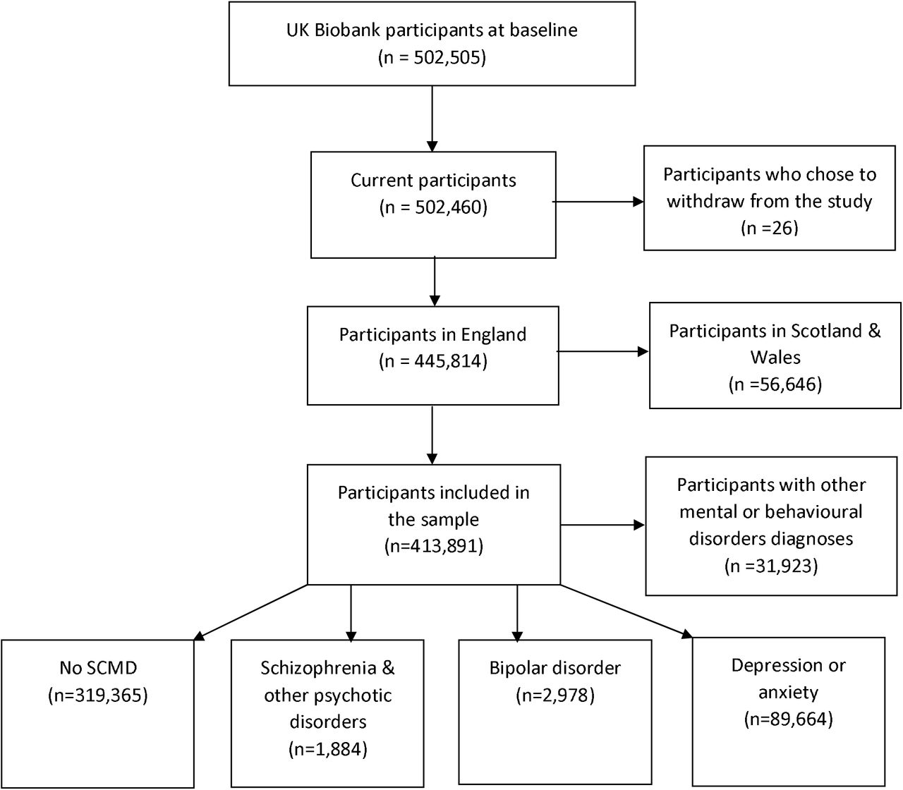 STROBE flowchart of study participants