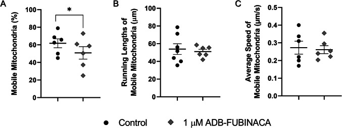 Assessment of mitochondrial trafficking in NG108-15 cell neurites, labelled with PKmito RED. Monitoring and tracking of mitochondrial movement along 100 μm neurite segments over 10 min, using MTrackJ plugin. (A) Percentage of mobile mitochondria, defined as those showing movement of 20 μm or more. (B) Mean path length for each mobile mitochondrion. (C) Average speed of mobile mitochondria. Each bar represents the mean ± SEM, for at least six independent experiments. *p < 0.05, compared to vehicle-control, using Nested one-way ANOVA, followed by Dunnett’s post-test
