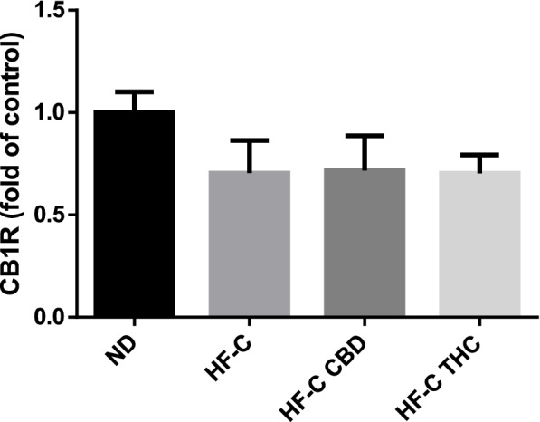 Effect of THC or CBD treatment on CB1 receptor gene expression in the liver of mice fed HFCD. Male C57BL/6J mice aged 7–8 weeks were fed either normal diet (ND, n = 8), high fat + 1%(w/w) cholesterol + 0.5%(w/w) cholate diet (HF-C, n = 8), HFCD containing CBD (2.39 mg/kg) (HF-C CBD, n = 8), HFCD containing THC (2.5 mg/kg) (HF-C THC, n = 8). At the conclusion of the experiment, RNA was isolated from harvested livers and gene levels quantified using qPCR. Values are expressed as relative expression compared to ND (mean ± SEM)