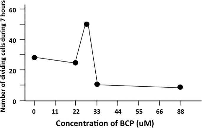 Proliferating primary fibroblast cells exposed to BCP at various concentrations.Number of dividing and apoptotic cells during 7 hours of exposure to BCP.