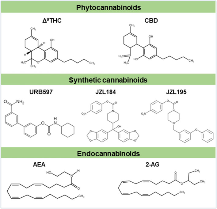 Chemical structures of some cannabinoids. Δ9-THC and CBD are major plant derived cannabinoids (phytocannabinoids). Synthetic cannabinoids (URB597, JZL184, JZL195 etc) are cannabimimetics. Natural cannabinoids are endogenously produced in humans and other animals are referred to as endocannabinoids (AEA, 2-AG etc). These cannabinoids typically signal through cannabinoid receptors like CB1 and/or CB2 receptors. Part of this figure has been adapted from (6) with permission.
