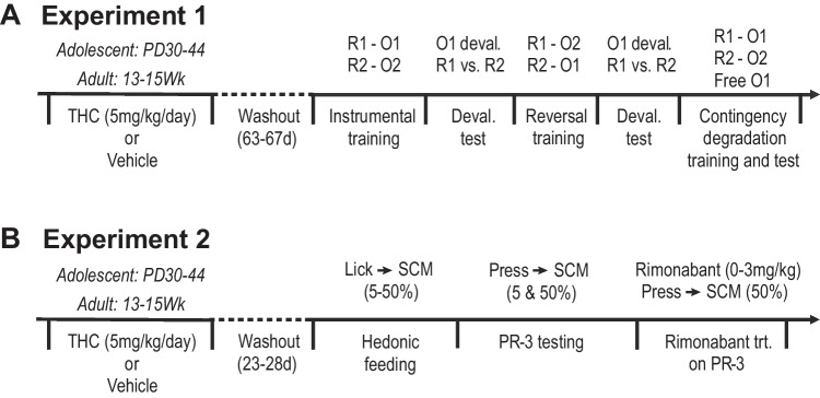 Schematic representation of the timelines for experiments 1 (A) and 2 (B). Deval. test, devaluation test; PR, progressive ratio; trt., treatment