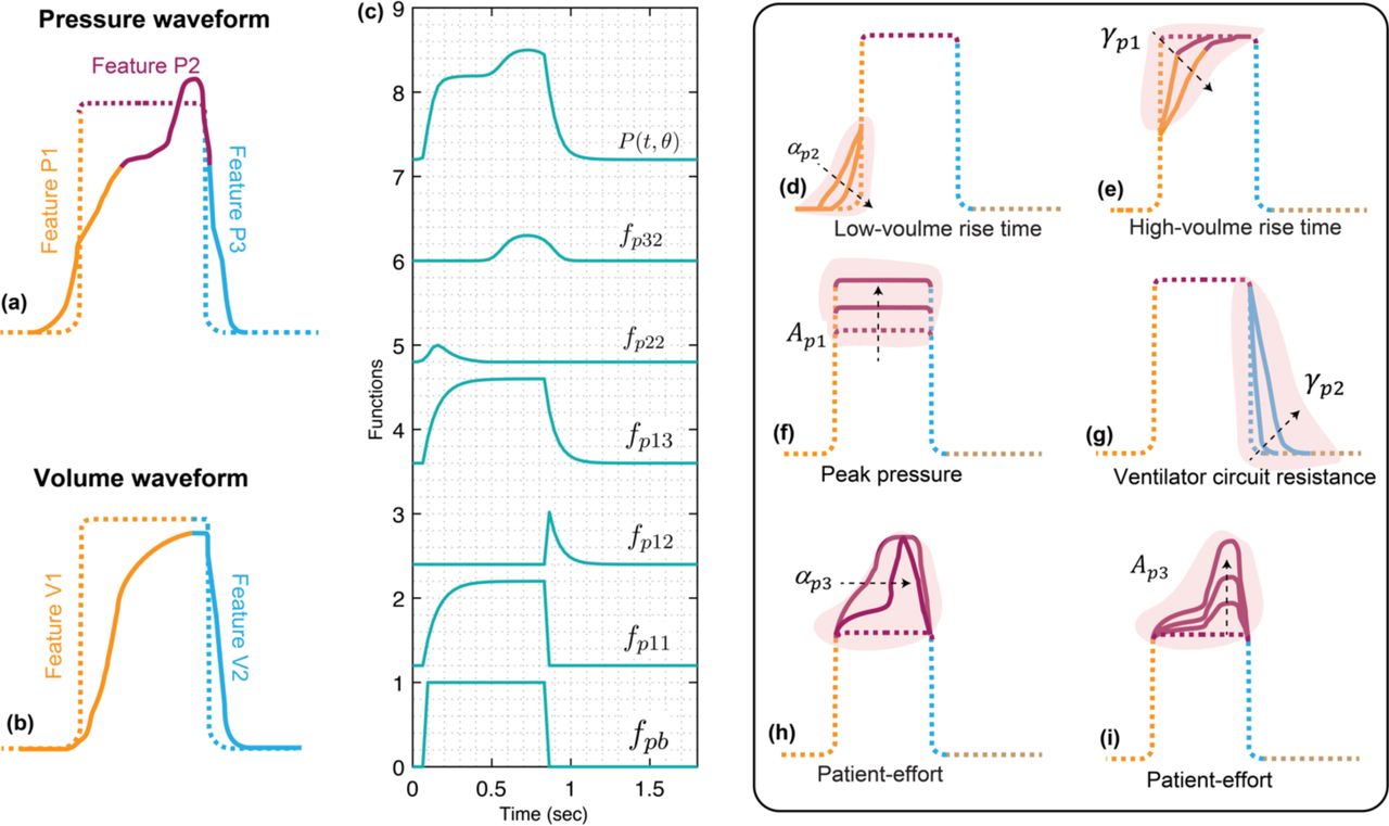 Using the clinically relevant features in the pressure and volume waveforms to construct the VD-deformed lung ventilator model.Graphical representation of theoretical deformed (a) pressure and (b) volume waveforms. A breath is divided into several temporal processes which are linked with interpretable pathophysiology for qualitatively assessing the lungs state or detecting a VD. The pressure signal has three temporal processes while the volume signal has two temporal processes that might reflect lung condition and patient-ventilator interaction when they are free variables (see Methods). (c) Simulated response of various terms that make up the deformed pressure model (P). Equations 1-10 were used to simulate the response within each term with parameter values θ = 0.2, αp1= 2 =104, βp1 = 0.88, φp1 = −0.983, γp1= 3.25, γp2= 2.62, Ap1 = 1, CP = 0, αp2= 92.4, βp2 = 0.984, φp2 = −1.22, Ap2 = 0.2, αp3= 50, βp3 = 0.983, φp3 = −0.66, Ap3 = 0.3. Y-axis was normalized to represent all the model components in a sequential manner. (d-i) In the pressure signal, the initial gradient of the pressure signal during inspiration at low volume is controlled by (d) the αp2 parameter. Higher values result in a slower rise. (e) The gradient of the rising signal after the inflection point is controlled by the γp1 parameter. Higher values result in a slower rise. (f) The amplitude of the waveform can be altered using the parameter Ap1. (g) The gradient of the falling signal during expiration can be modified by the γp2 parameter. Higher values result in a slower fall. (h) The shape of the peak at the plateau is regulated by the αp3 parameter such that higher values result in a sharper peak. (i) The amplitude of this peak is controlled via the Ap1 parameter. Note that the breaths were drawn to highlight the features which might contain useful information about lung condition and patient-ventilator interaction when the respective variable is free. If the variable is controlled, e.g., volume during VCV, the waveform features represent ventilator settings. Additional interpretations including for the volume model are mentioned in the supplementary material.